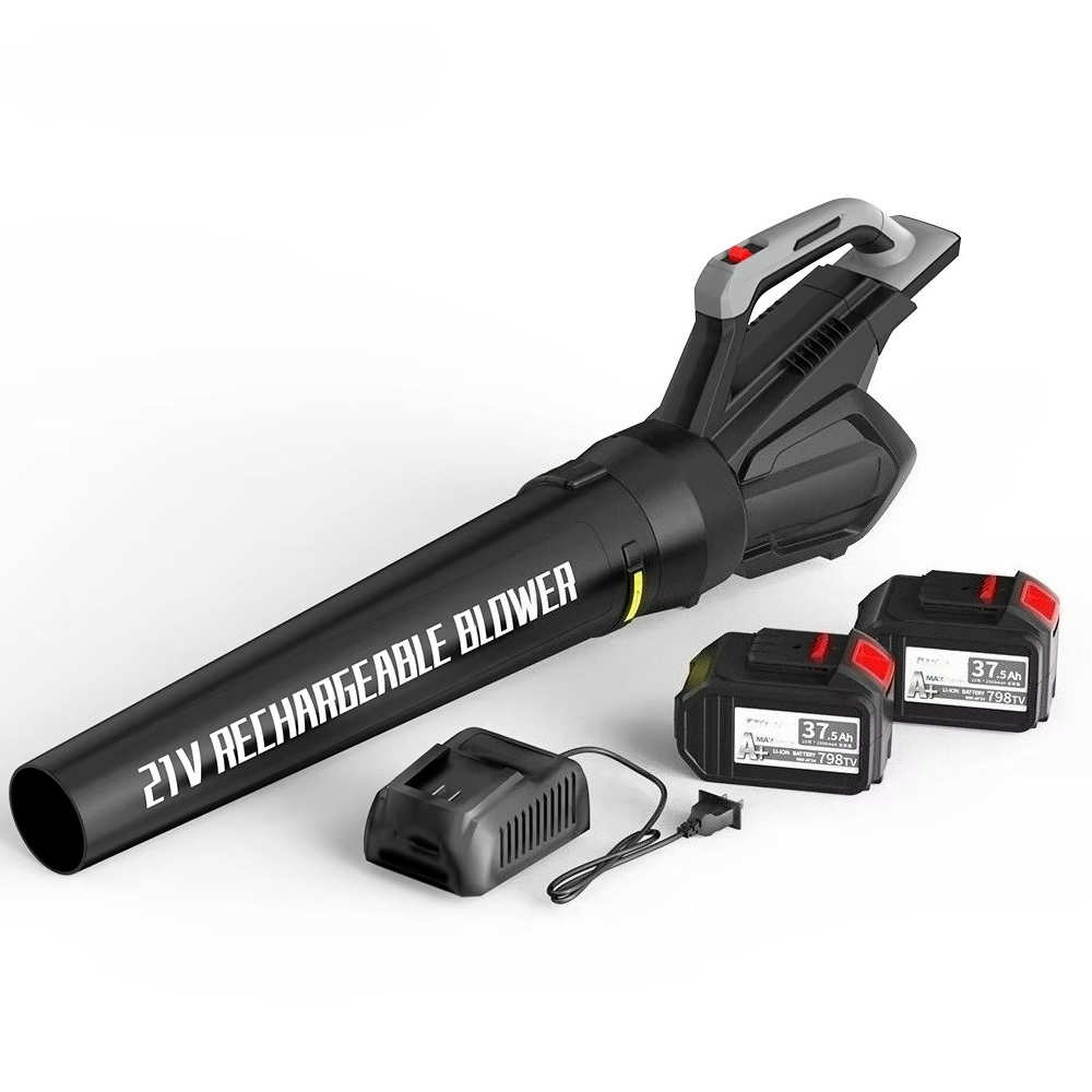Cordless Leaf Blower with Batt - огляд і ціна Leaf Blower Cordless