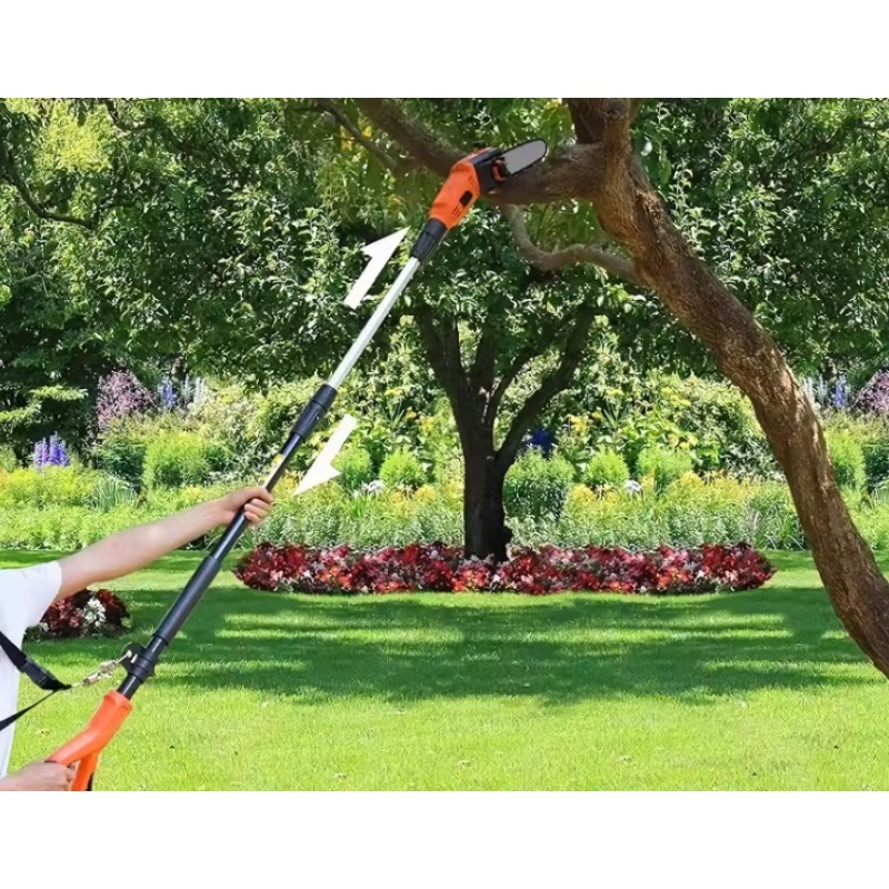 Parkside Brushless Cordless El - огляд і ціна Pole Saw Cordless